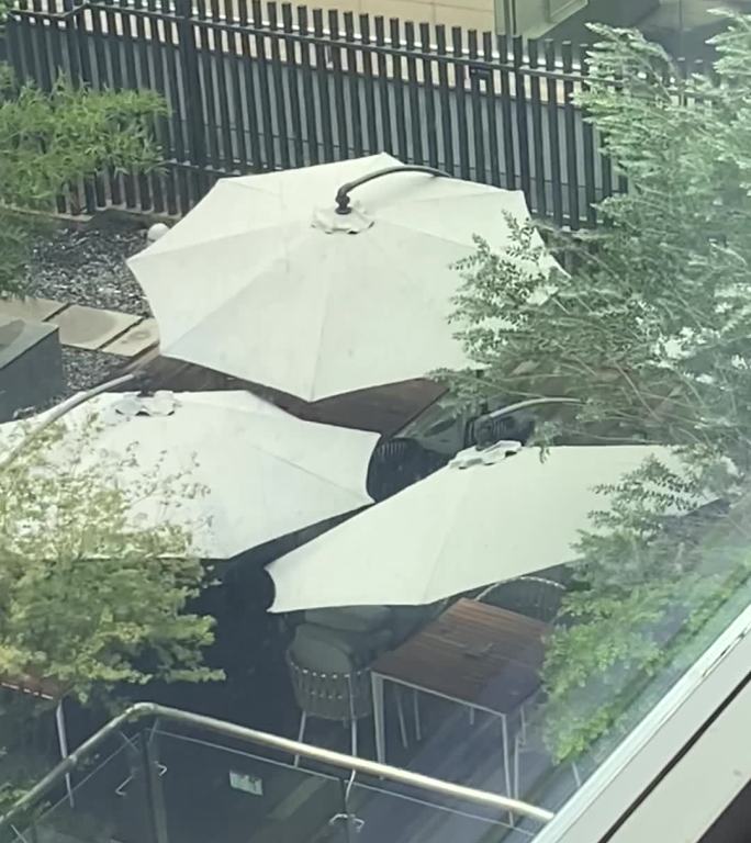 狂风城市屋顶花园景观