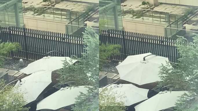 狂风城市屋顶花园景观