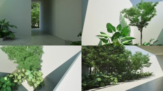 植物室内空间光影02