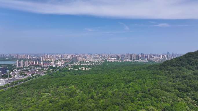 合肥大蜀山合肥市全景
