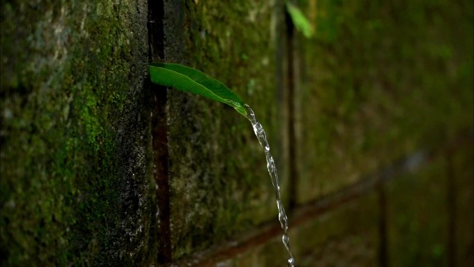 青苔石壁流水