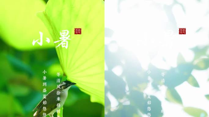 小暑 小暑竖版 模版  夏日 炎热夏天