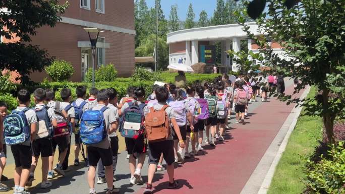 小学生放学排队回家