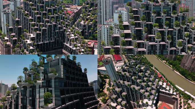 大洋晶典 天安千树 上海两湾城
