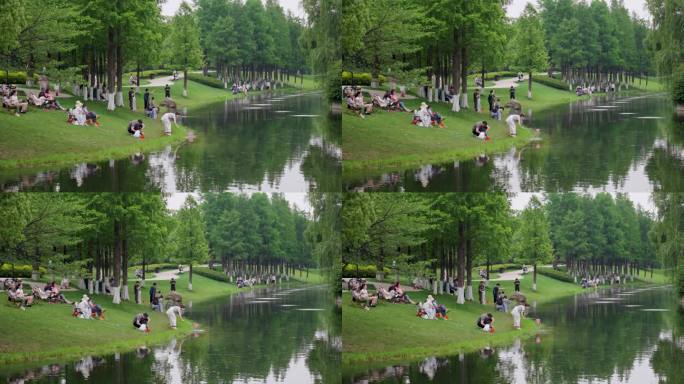 公园湖畔休闲时光