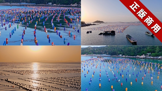 南澳岛海上养殖水产养殖海洋牧场