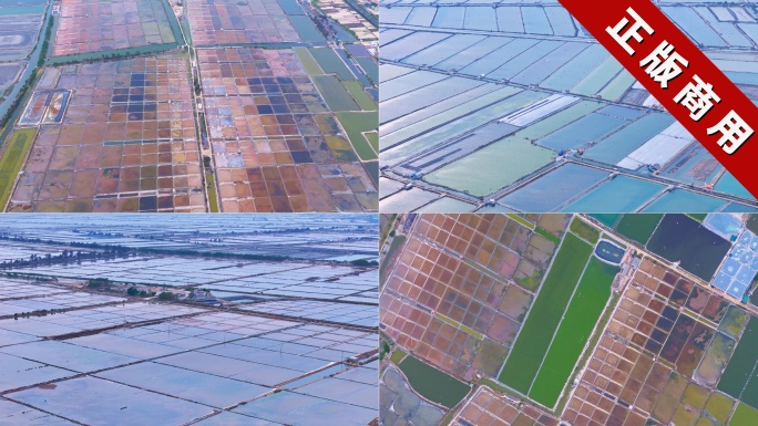 东山岛盐田农田盐碱地沙漠作物