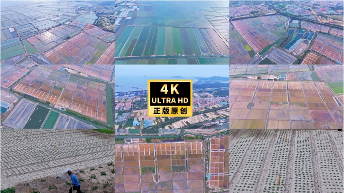 东山岛盐田农田盐碱地沙漠作物