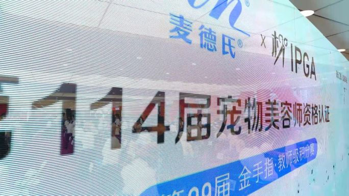 活动快闪快剪花絮分屏快剪视频PR模版