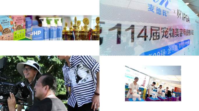 活动快闪快剪花絮分屏快剪视频PR模版
