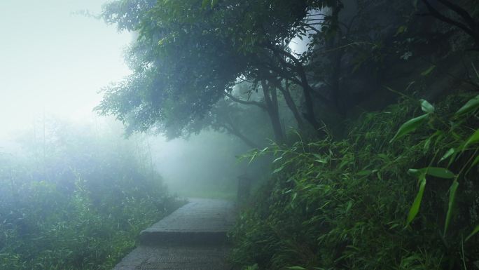 4K云雾缭绕的山路
