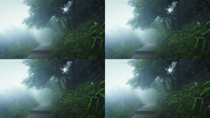 4K云雾缭绕的山路
