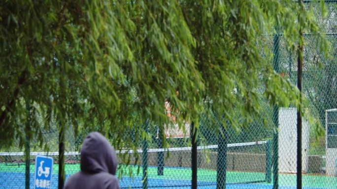 夏季雨季小满清明雨季绿色树叶植物清新自然