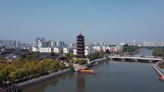 泰州森林湿地鸟群