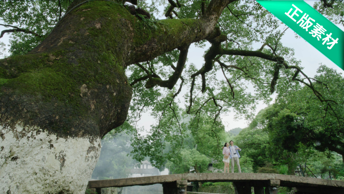 情侣乡村古村旅行 田园风光下的美好生活