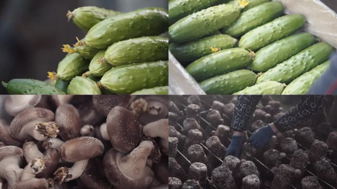新鲜黄瓜与香菇丰收