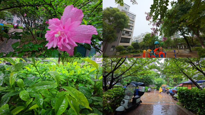 下雨小区环境绿化景观园林