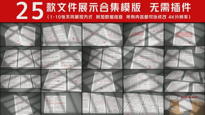 谈话笔录 忏悔录 25款文件展示