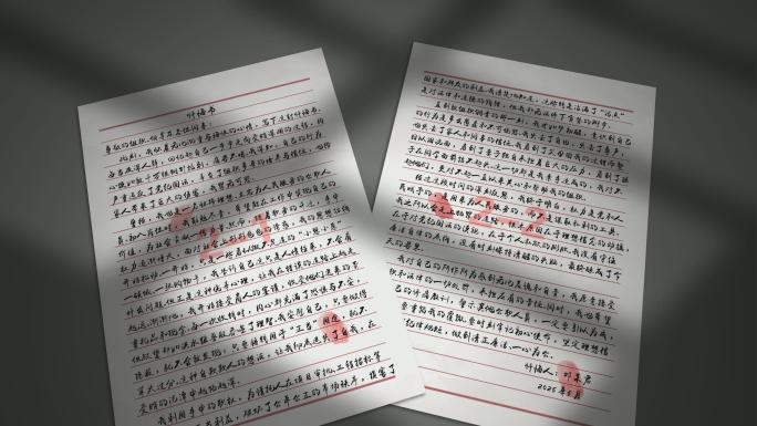 谈话笔录 忏悔录 25款文件展示