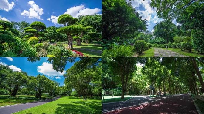 绿意盎然的城市公园宁静优美的自然风光