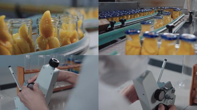 罐头食品生产线质检