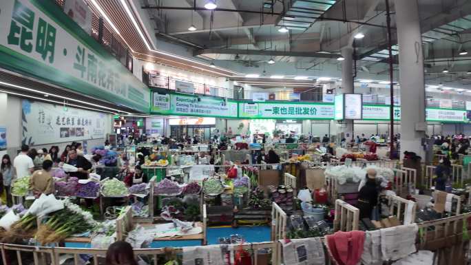 云南昆明斗南花市交易市场人流实拍
