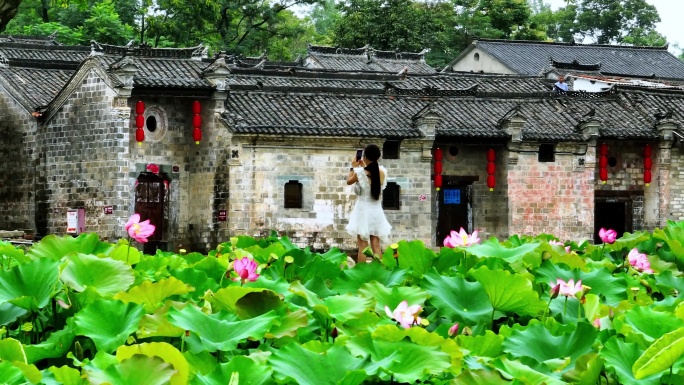 信阳新县丁李湾