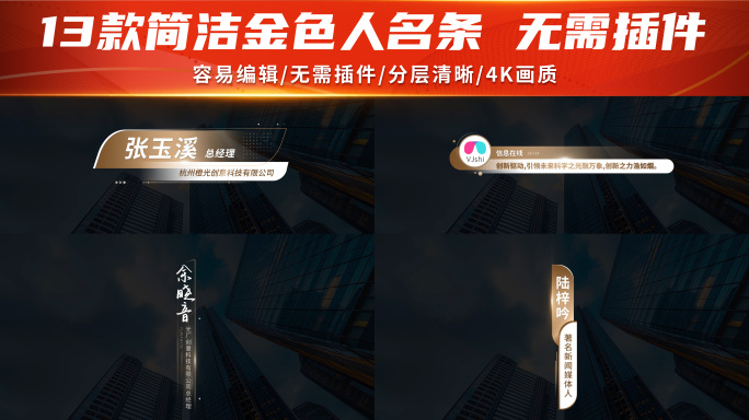 简洁金色人名字幕条