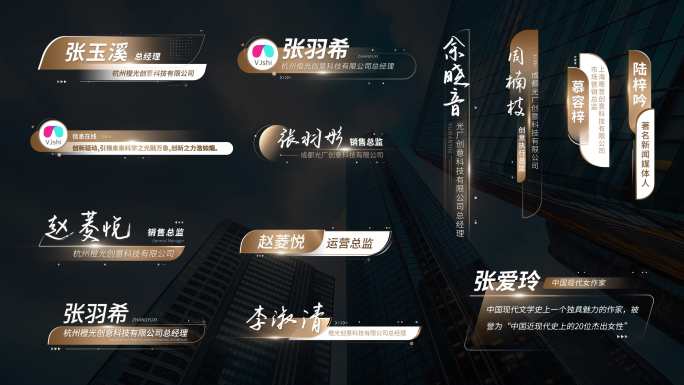 简洁金色人名字幕条