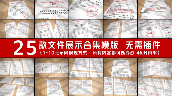 25款简洁红头文件证书展示