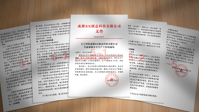 25款简洁红头文件证书展示