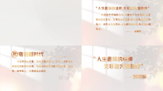 白金引用文字字幕模板
