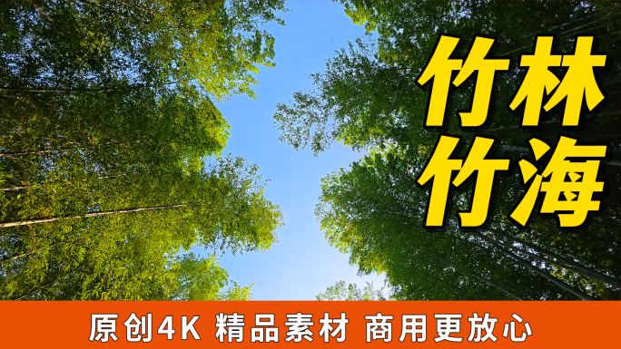 凌安竹海竹林深处幽径阳光