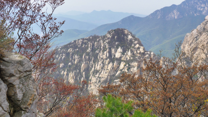 山脉春天植物自然风光山景花朵树木景色山石