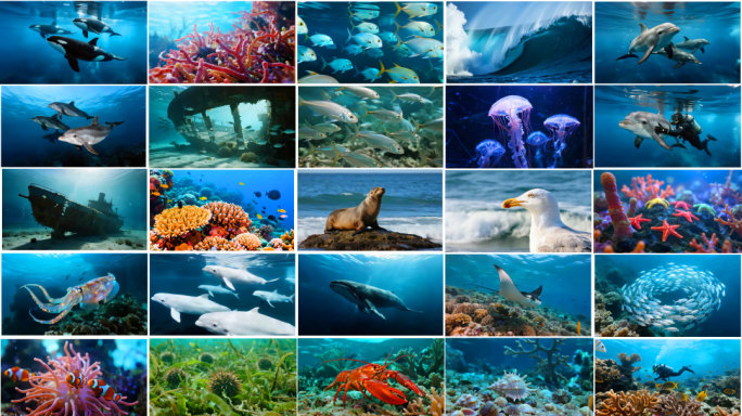 海底世界鱼群海洋世界沉船珊瑚礁深海