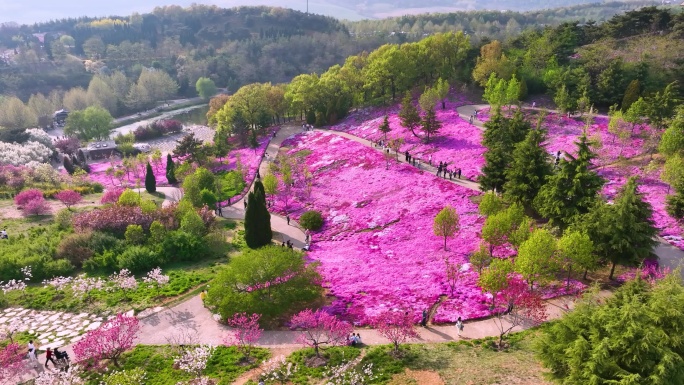 旅顺 英歌石植物园 友谊塔