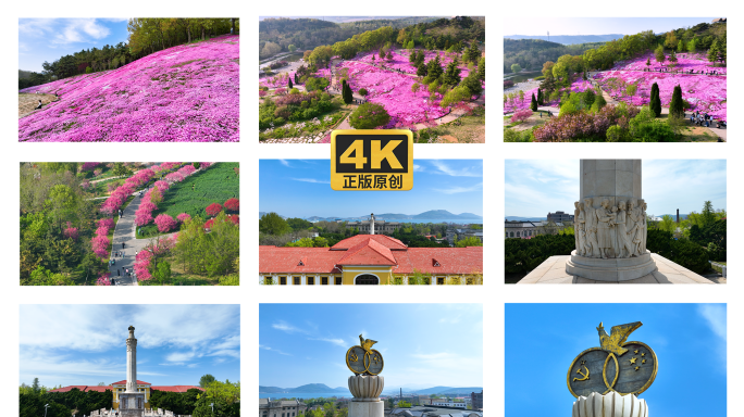 旅顺 英歌石植物园 友谊塔