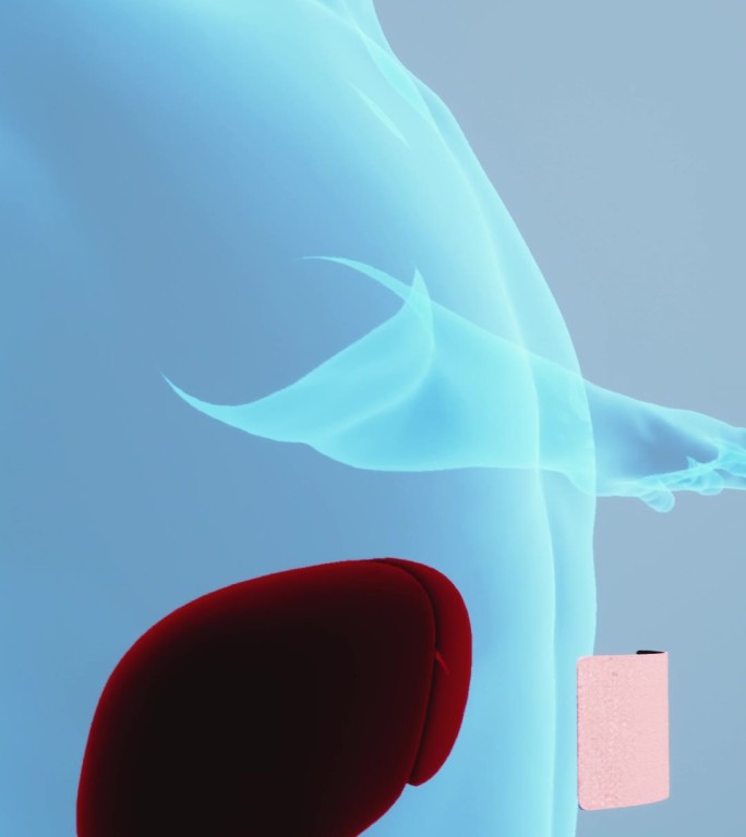 人体医学3D渲染