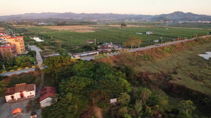 鸟瞰校车行驶在乡村道路上田园风光乡村交通