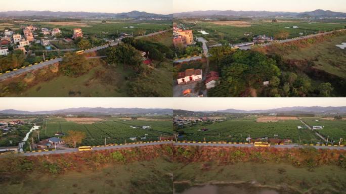 鸟瞰校车行驶在乡村道路上田园风光乡村交通