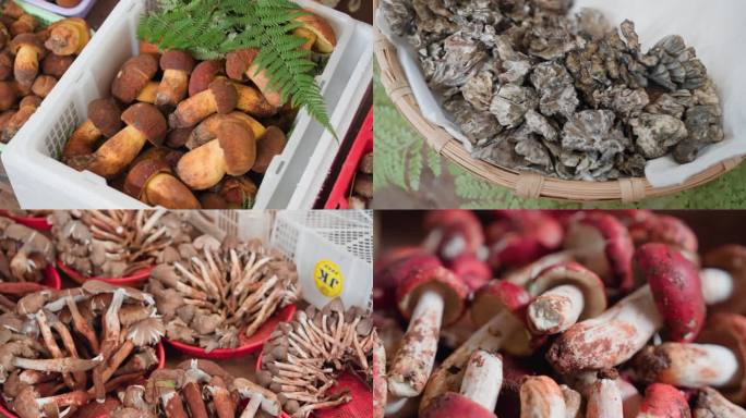 野生菌交易市场、洗菌子、水木花交易市场