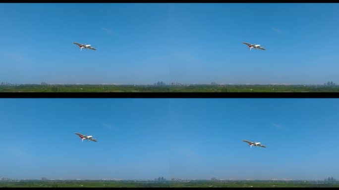飞机低空飞行城市景观