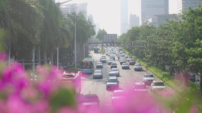 早晨出行车水马龙阳光城市道路交通繁忙景象