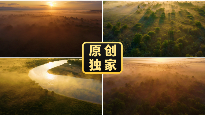 森林清晨阳光日出湿地丁达尔光晨雾光影风景