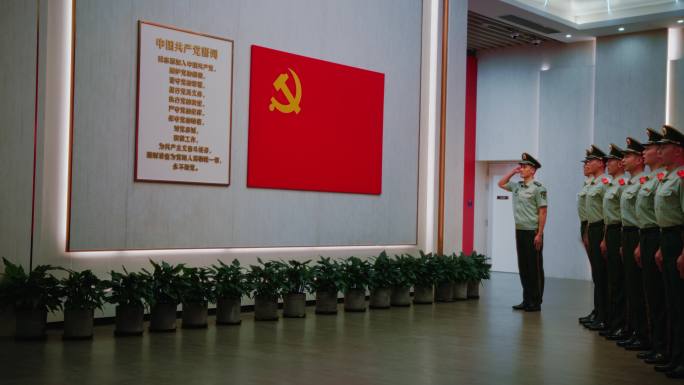 庄严的宣誓仪式