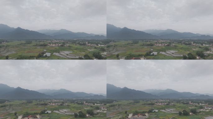宁静乡村稻田景色