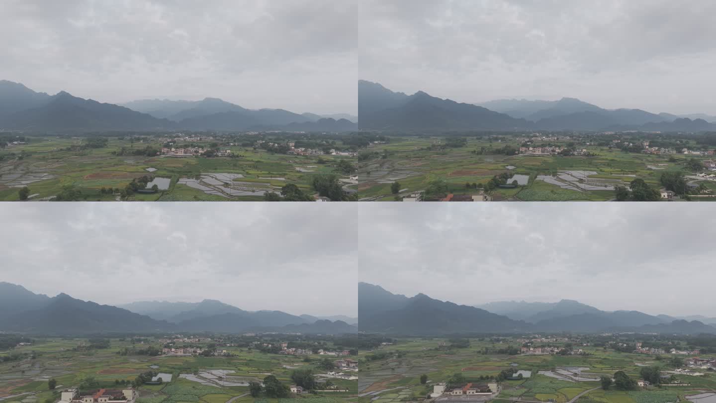 宁静乡村稻田景色