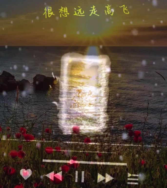 阳光的名字
