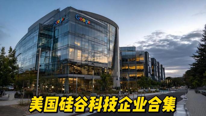 美国硅谷科技企业