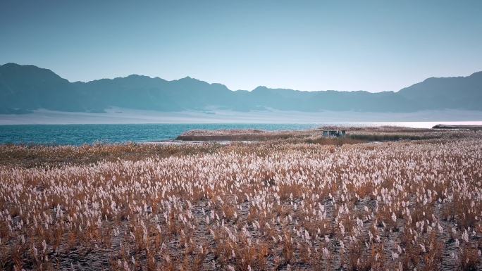 高原湖泊自然景观
